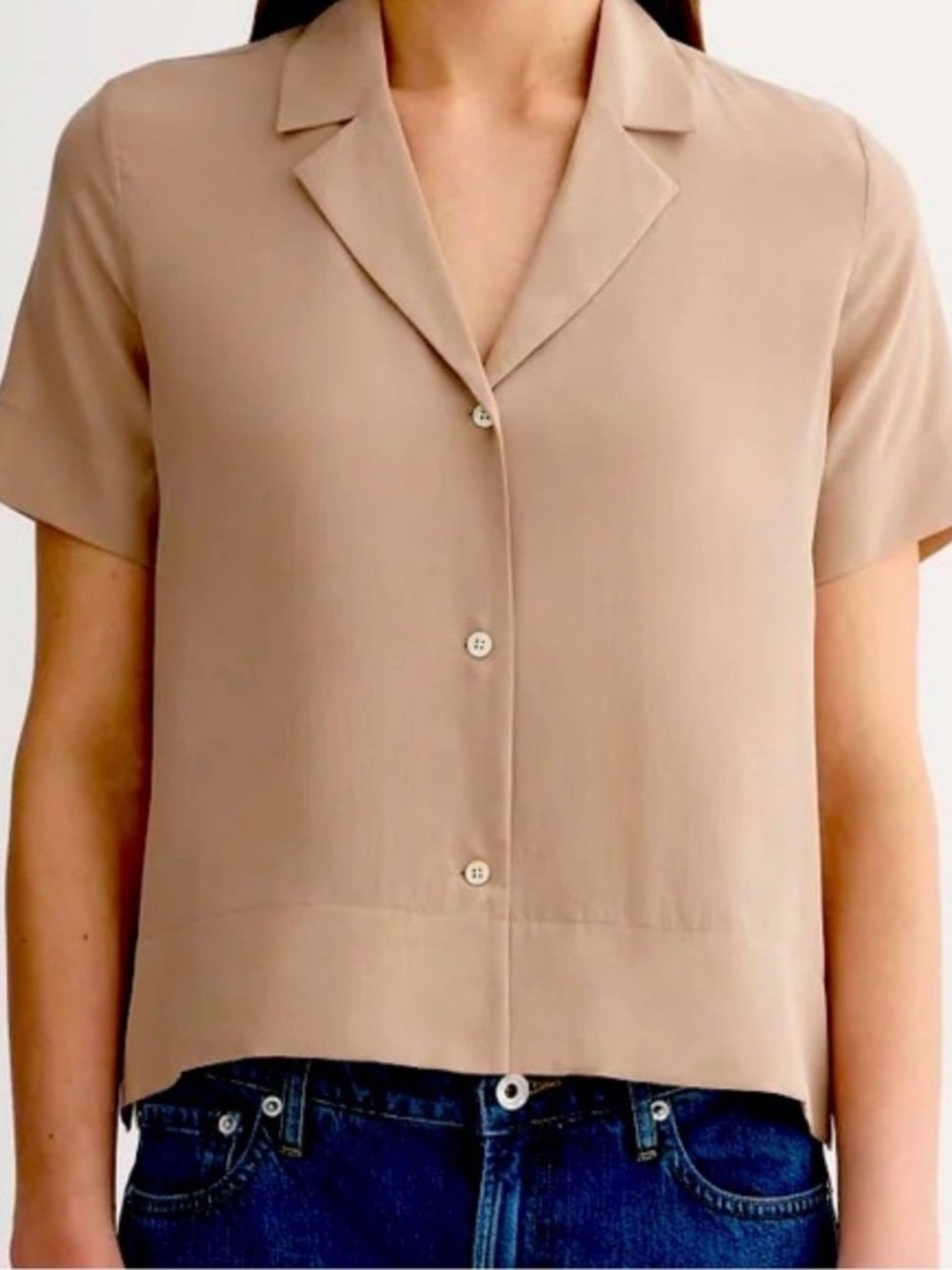 Everlane The Notch Shirt in Washable Silk